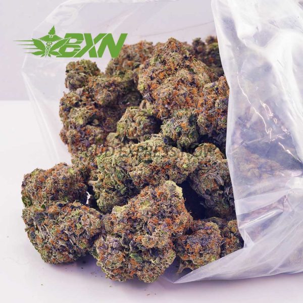 Buy Sour Amnesia AAA at BudExpressNOW Online Shop.