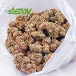 Buy Zookies AA at BudExpressNOW Online Shop.