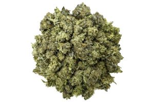 Read on for the most detailed Cali Bubba strain review you'll find and buy weed online with ease!