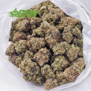 Buy Ghost Train Haze AAA at BudExpressNOW Online Shop.