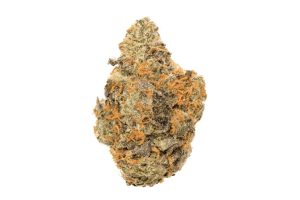 While it isn’t something beginners play around with, this guide will give you a better idea of how to approach the Grease Monkey Strain for a better experience.