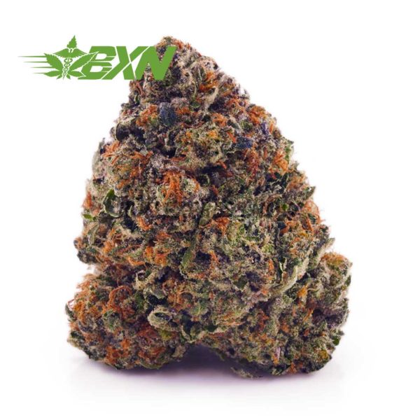 Buy Blackberry Haze AAAA at BudExpressNOW Online Shop.