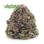 Buy Funky Charmz AA at BudExpressNOW Online Shop