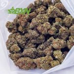 Buy OG Kush AAAA at BudExpressNOW Online Shop