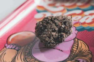 In this article, we tell you about the top 5 weed sites in Canada that have earned their positions as reputable and reliable mail-order marijuana dispensaries in Canada.