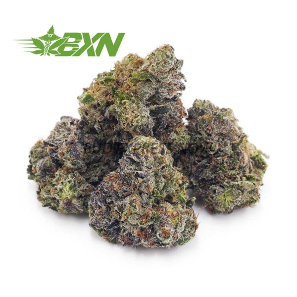 Buy Master Kush Ultra AAA at BudExpressNOW Online