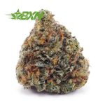 Buy Island Maui Haze AA at BudExpressNOW Online Shop.