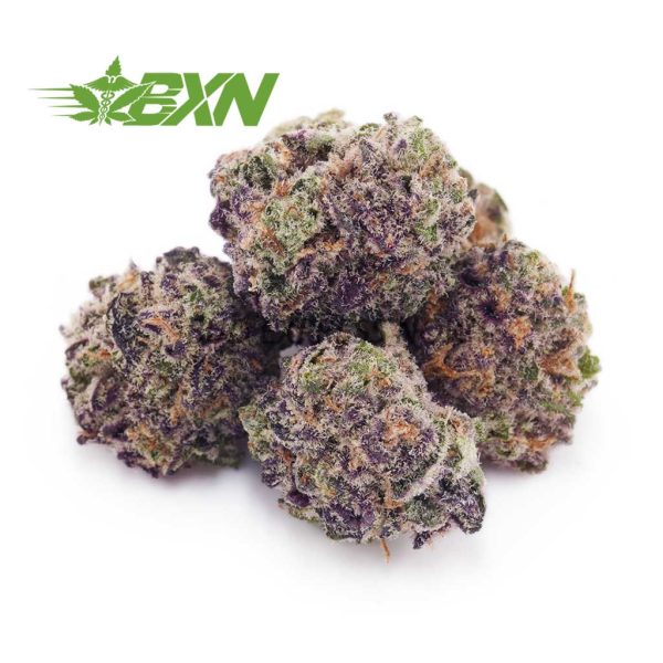 Buy Purple Tropicana (Popcorn) at BudExpressNOW Online shop.