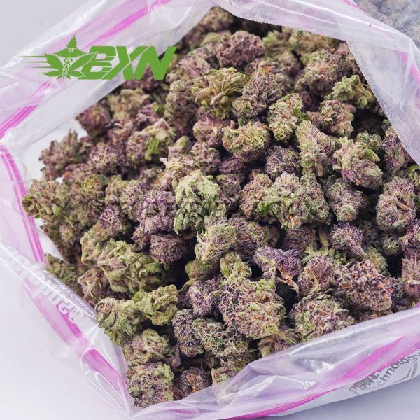 Buy Purple Tropicana (Popcorn) at BudExpressNOW Online shop.