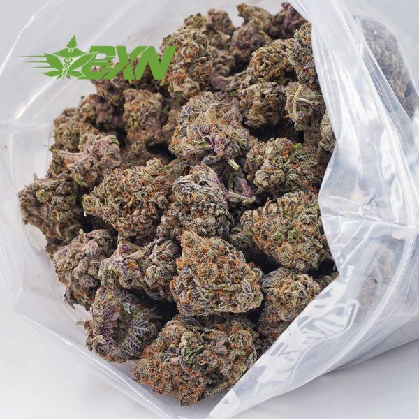 Buy Tropical Punch AAAA at BudExpressNOW Online.