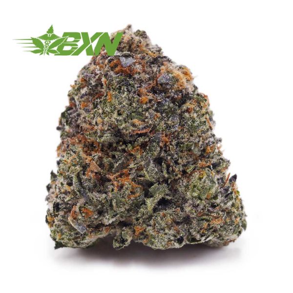 Buy Blueberry Bomb AAAA at BudExpressNOW Online Shop.