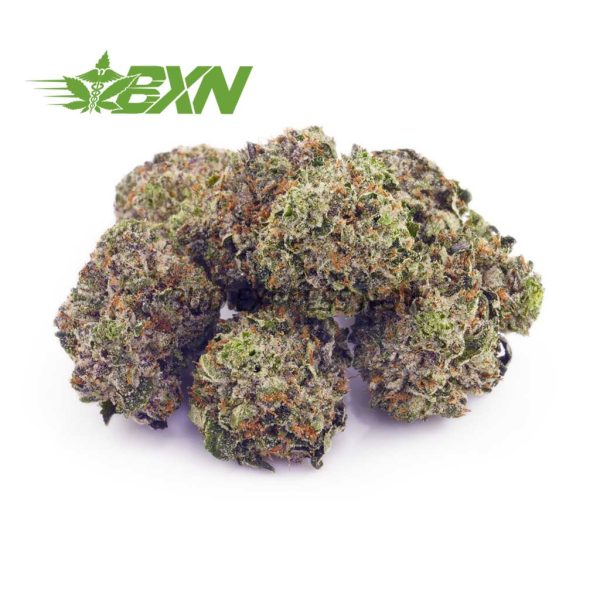 Buy Night Terror OG AAAA (Popcorn) at BudExpressNOW Online Shop