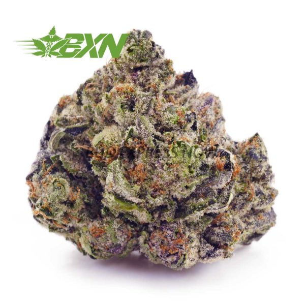 Buy Blueberry Kush AAA at BudExpressNOW Online Shop.