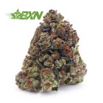 Buy Pink Kush AAA at BudExpressNOW Online Shop.