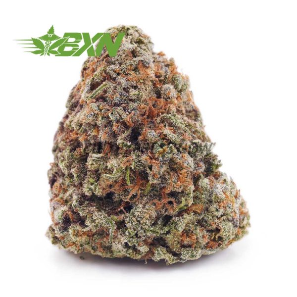Buy Blue Dream AAA at BudExpressNOW Online