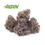 A group of purple and orange marijuana buds