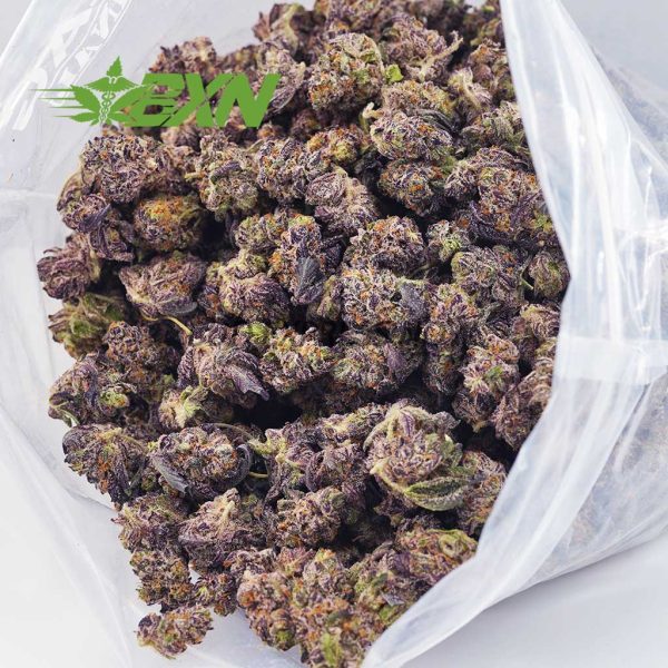 Buy Purple Kush AAAA (Popcorn) at BudExpressNOW Online Shop.