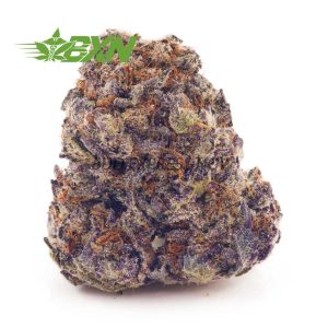 Buy Purple Haze AAAA at BudExpressNOW Online