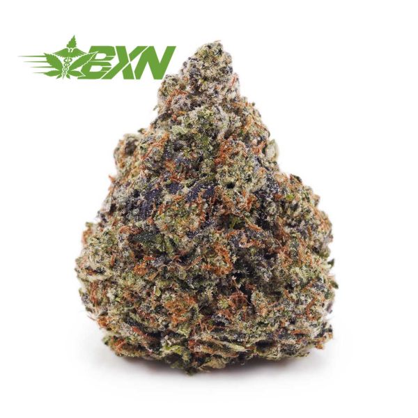 Buy Platinum Pink Kush (Craft) at BudExpressNOW Online Shop.