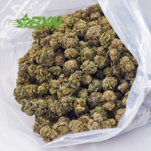 Buy Runtz AAAA (Popcorn) at BudExpressNOW Online Shop