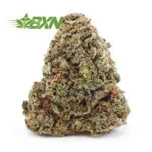 Buy Island Kush AA at BudExpressNOW Online Shop