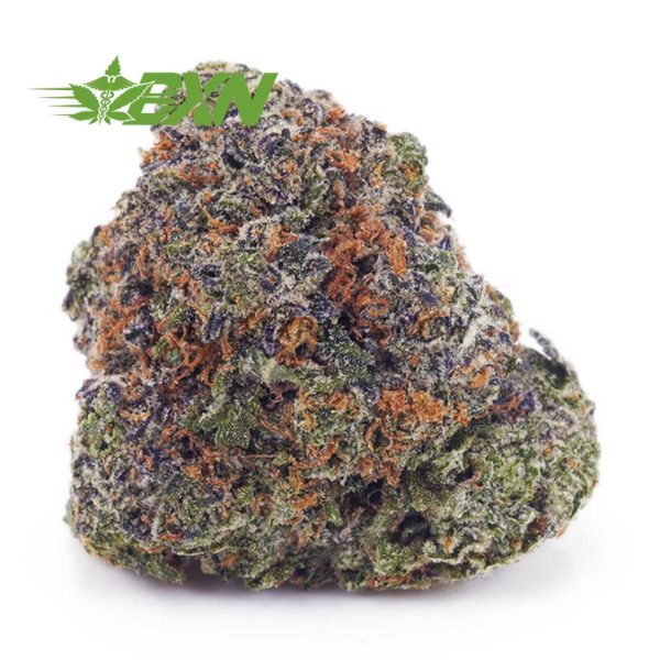 Buy Blueberry Kush AAA at BudExpressNOW Online Shop.