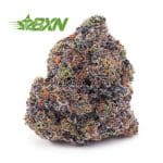 Buy Purple Kush AAA at BudExpressNOW Online Shop.