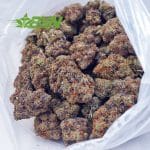 Buy Purple Kush AAA at BudExpressNOW Online Shop.