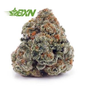 Buy Animal Cookies AA at BudExpressNOW Online Shop