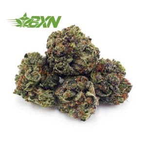 Buy OG Kush AAAA (Popcorn) at BudExpressNOW Online Shop.