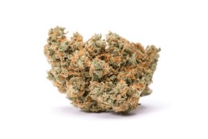 Explore the iconic Jack Herer strain: From its origins, effects, medical uses, and more. A comprehensive review of this legendary cultivar.