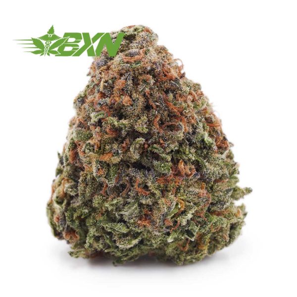 Buy Pineapple Express AA at BudExpressNOW Online Shop.