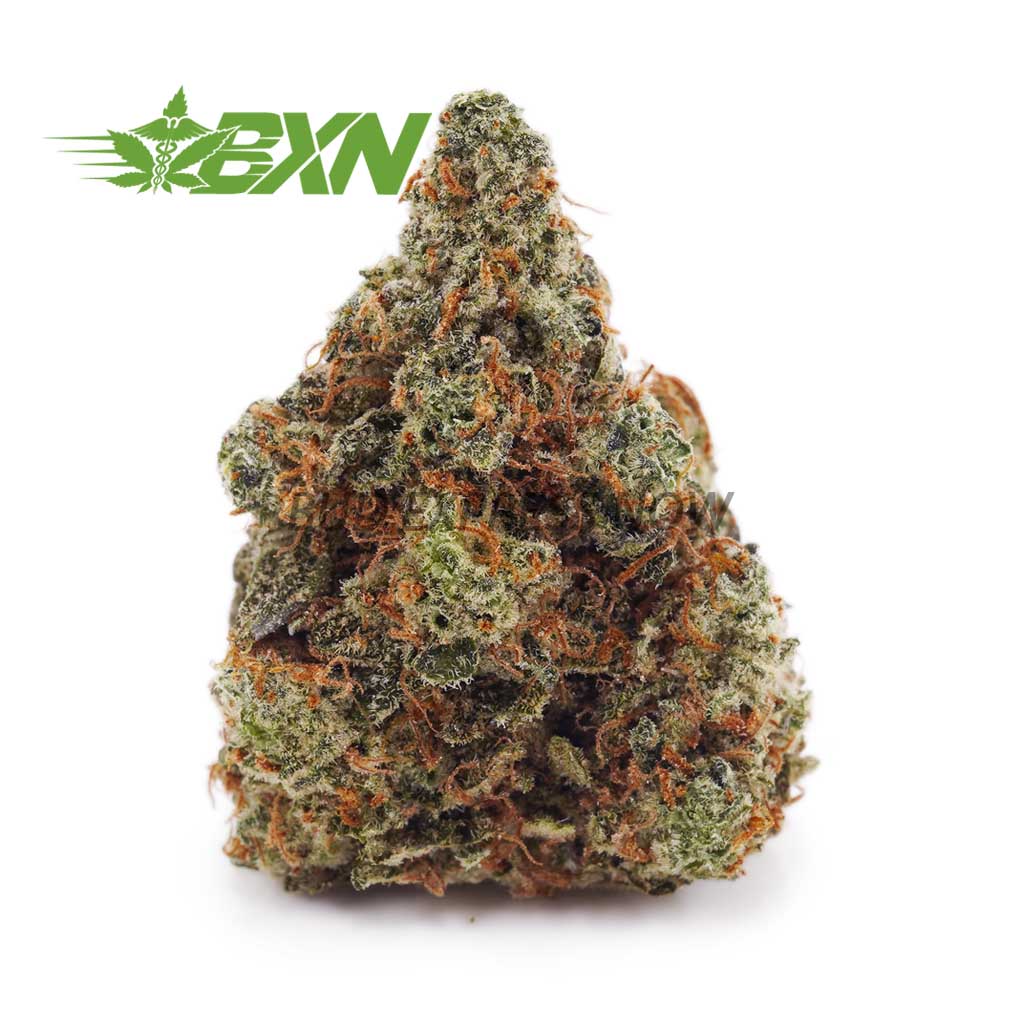 Strain Review: Dosi Mints by High Noon Cultivation - The Highest Critic