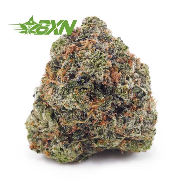 Buy Master Kush Ultra AAAA at BudExpressNOW Online Shop