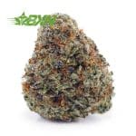 Buy Tropical Haze AAAA (Popcorn) at BudExpressNOW Online Shop