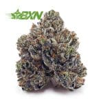 Buy Tom Ford AAA at BudExpressNOW Online Shop