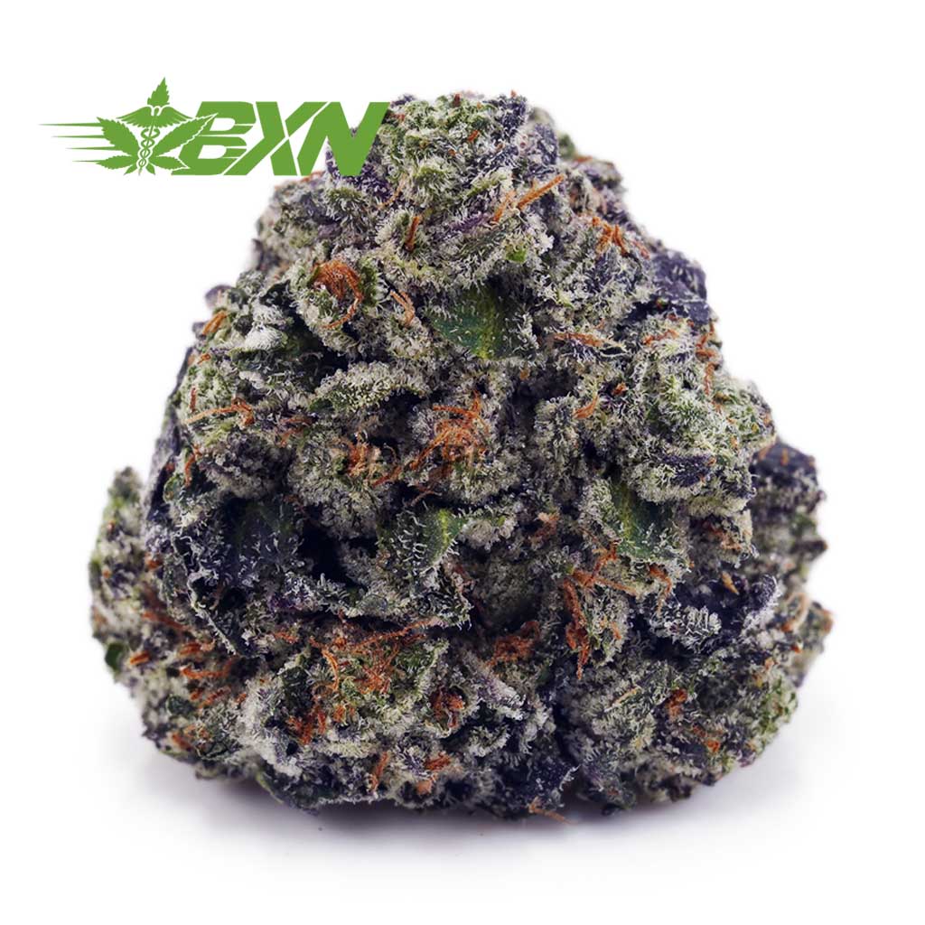 Buy Master Yoda AAAA at BudExpressNOW Online Shop