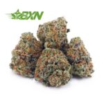 Buy Guava Punch AAAA (Popcorn) at BudExpressNOW Online Shop