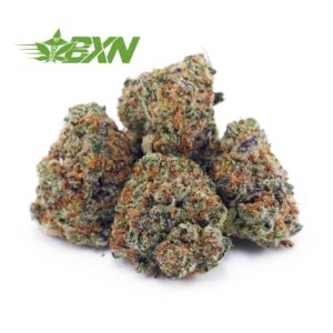 Buy Guava Punch AAAA (Popcorn) at BudExpressNOW Online Shop