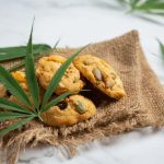 Check out top-notch edibles in Canada and see what's up for grabs at the top online dispensary. Live the chill life and kick back like a pro!