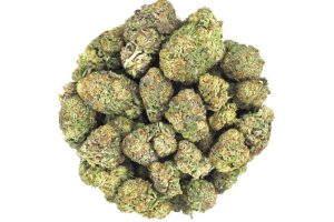 What is the Sour Kush strain, and how does it make you feel? In this BC Sour Kush strain review, we discuss its origins, genetics, and effects.