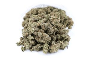 You, me, we all think the same; how to get bulk weed in Canada? It is time for the dreams to be realized into reality with Budexpress as a delivery choice.