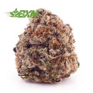 Buy Mango Haze AA at BudExpressNOW Online Shop.