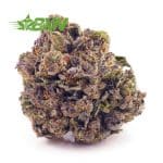 Buy Tangerine Dream AA at BudExpressNOW Online Shop.