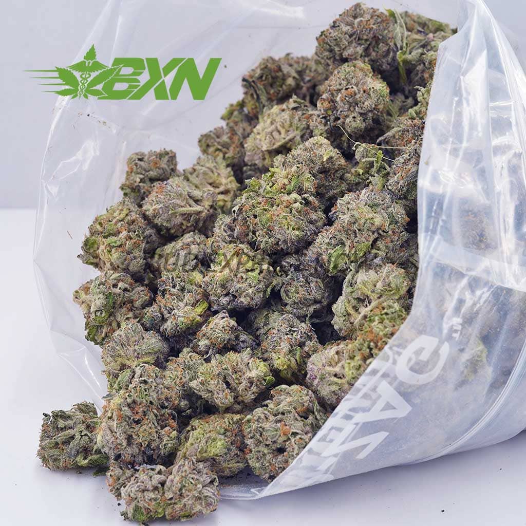 D441A2-ATOMICPINK-BXN