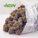 Buy Mango Haze AA at BudExpressNOW Online Shop.