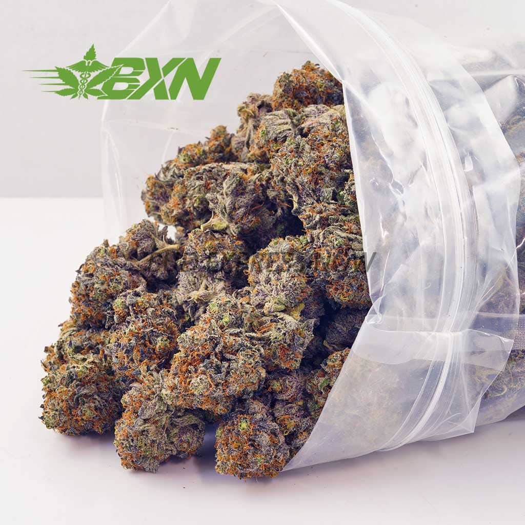 Buy Mango Haze AA at BudExpressNOW Online Shop.