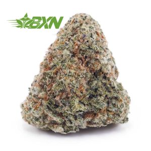 Buy Double OG AAAA at BudExpressNOW Online Shop