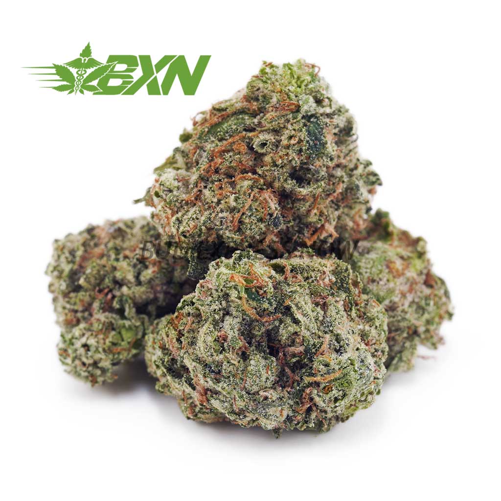 Buy Hindu Skunk AAAA (Popcorn) at BudExpressNOW Online Shop