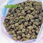 Buy Hindu Skunk AAAA (Popcorn) at BudExpressNOW Online Shop
